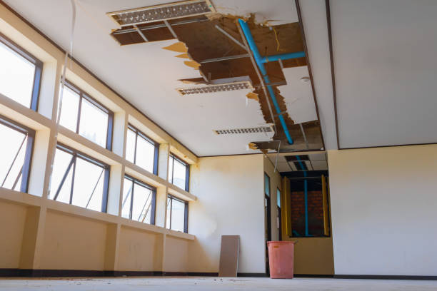 Best Water damage restoration experts  in Whitewright, TX