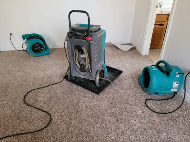 Best Carpet water damage restoration  in Whitewright, TX