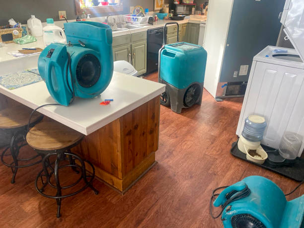 Best Flood damage cleanup  in Whitewright, TX