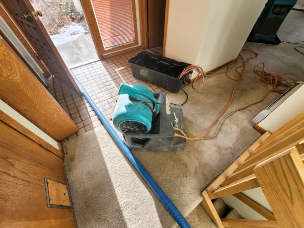 Best Carpet water damage restoration  in Whitewright, TX