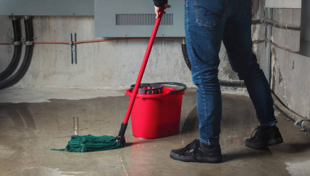 Best Water damage cleanup near me  in Whitewright, TX