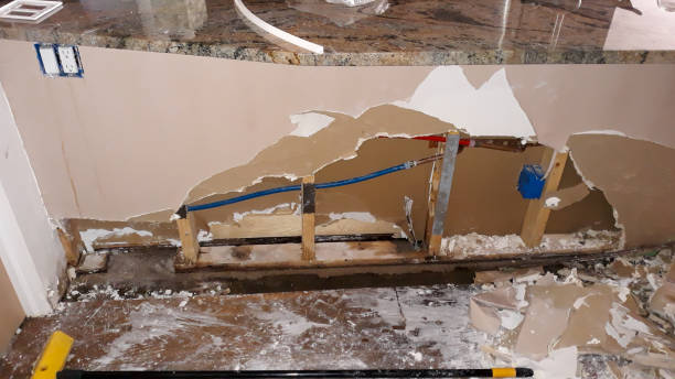 Best Sewage cleanup and water damage restoration  in Whitewright, TX