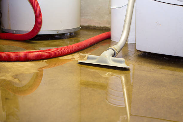 Best Flood damage cleanup  in Whitewright, TX