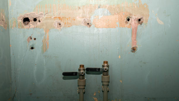 Best Ceiling water damage repair  in Whitewright, TX