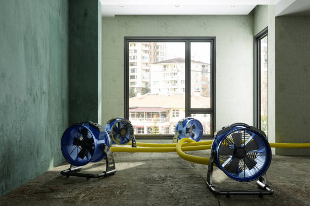 Best 24/7 water damage repair  in Whitewright, TX