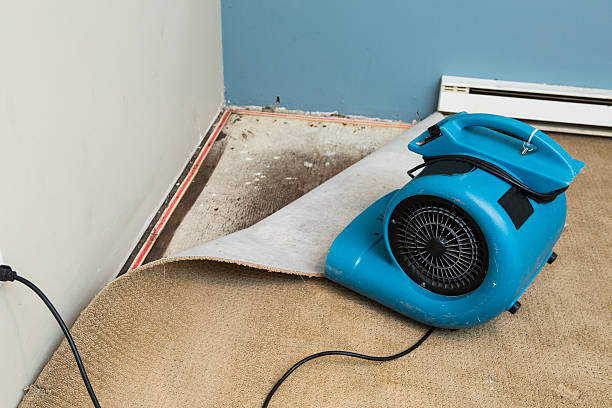 Best 24-hour water damage restoration  in Whitewright, TX